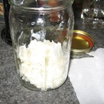 Kefir, the wonder food